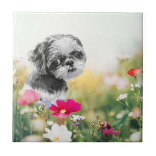 Shih Tzu Girl met Flowers Ceramic Tegel Tegeltje