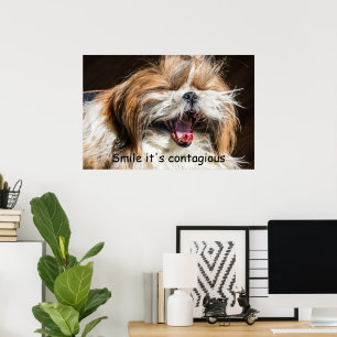 Shih tzu glanzende glimlach tekst past aan poster
