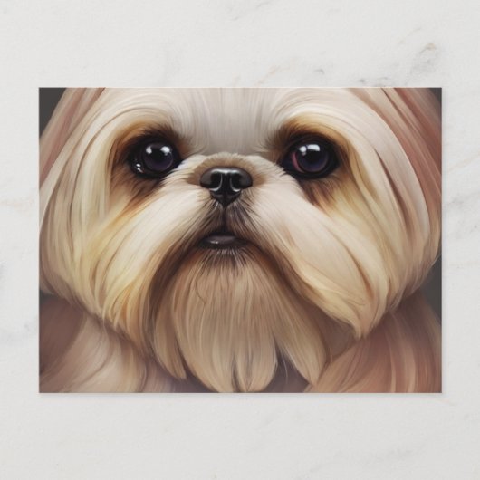 Shih Tzu Greetings Briefkaart (Voorkant)