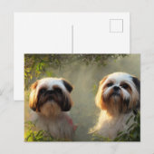 Shih Tzu Greetings Briefkaart (Voorkant / Achterkant)