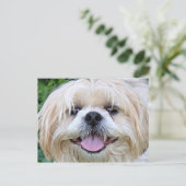 Shih Tzu Happy Face. Briefkaart (Staand voorkant)