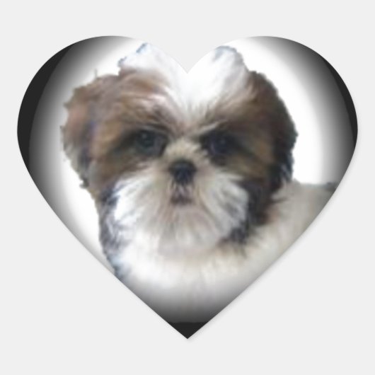 Shih-Tzu Hart Sticker (Voorkant)