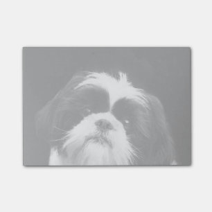 Shih Tzu-hond postt notitie Post-it® Notes