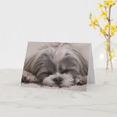 Shih Tzu hond slapen Kaart (Gele Bloem)