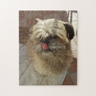 Shih Tzu hondenpuzzel Legpuzzel