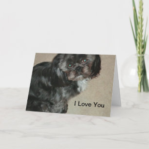 Shih Tzu Ik hou van je Kaarten