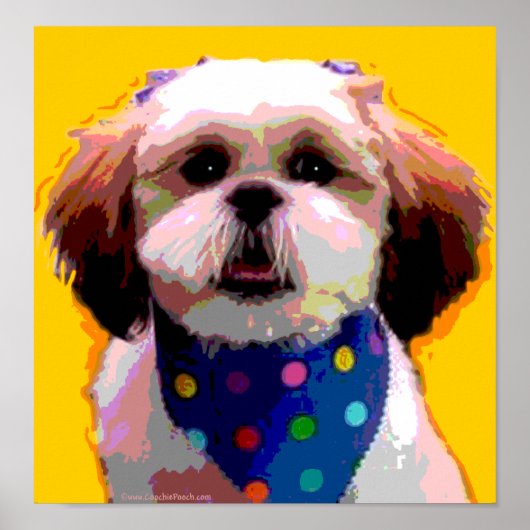 Shih Tzu in Polkadots Canvas Print (Voorkant)
