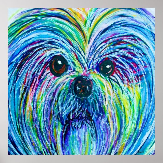 Shih Tzu Intense Colors Poster (Voorkant)