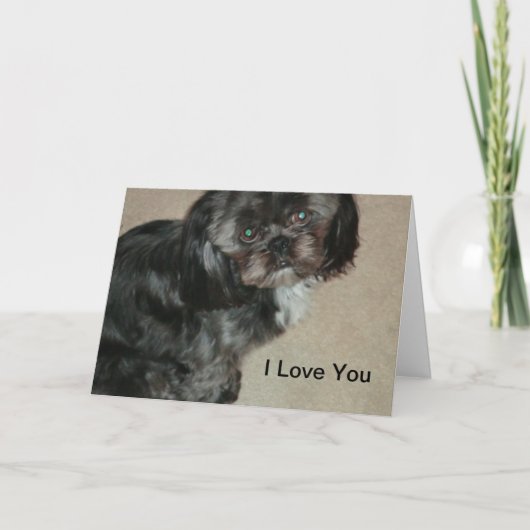 Shih Tzu Je T'Aime Cartes (Devant)