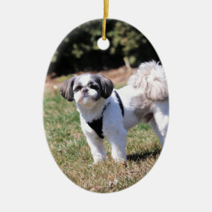 Shih Tzu Keramisch Ornament