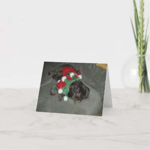 Shih Tzu-kerstkaart Feestdagen Kaart