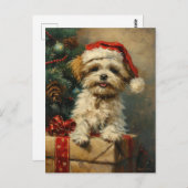Shih Tzu Kerstmis Briefkaart (Voorkant / Achterkant)