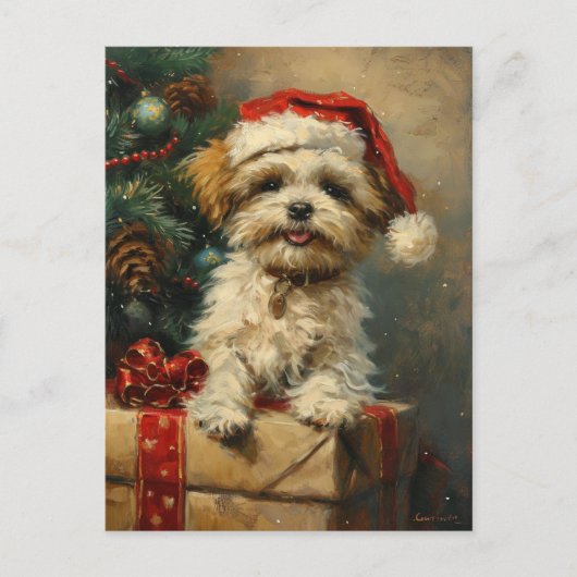 Shih Tzu Kerstmis Briefkaart (Voorkant)