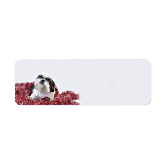 Shih Tzu Kerstmis Etiket (Voorkant)