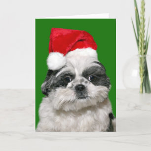 Shih Tzu Kerstmis Feestdagen Kaart