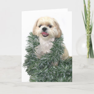 Shih Tzu Kerstmis Feestdagen Kaart