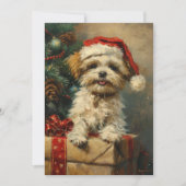Shih Tzu Kerstmis Feestdagenkaart (Voorkant)