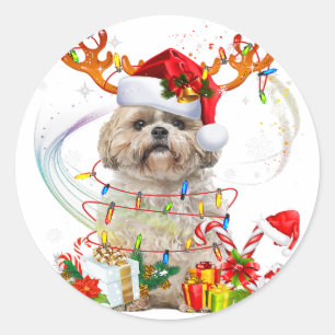 Shih Tzu Kerstrendierster Kerstlampjes Ronde Sticker