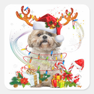 Shih Tzu Kerstrendierster | Kerstlampjes Vierkante Sticker
