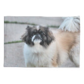 Shih tzu kussensloop (Achterkant)
