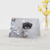 Shih Tzu laat jarig Kaart (Gele Bloem)