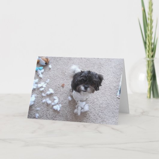 Shih Tzu laat jarig Kaart (Voorkant)