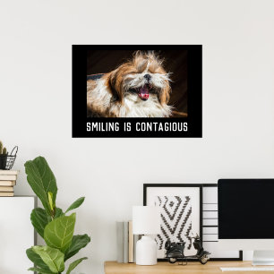 Shih tzu lachende glimlach aangepaste foto tekst poster