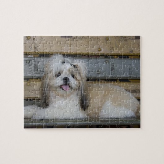Shih Tzu Legpuzzel (Horizontaal)