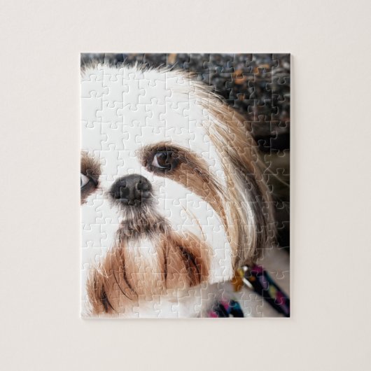 Shih Tzu Legpuzzel (Verticaal)