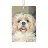 Shih Tzu Luchtverfrisser (Achterkant)