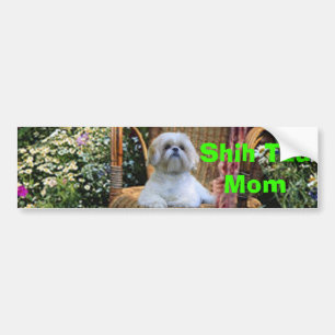Shih Tzu Ma Bumpersticker