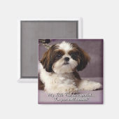 Shih-Tzu magneet 2 (Voorkant / Achterkant)