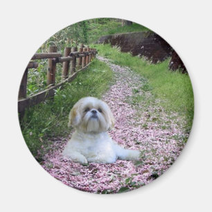 Shih Tzu magneet paarse bloemen
