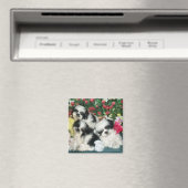 Shih Tzu Magnet (In Situ (Lave-vaisselle))