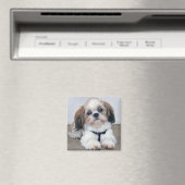 Shih Tzu Magnet (In Situ (Lave-vaisselle))
