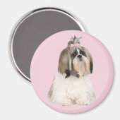 Shih Tzu Magnet (Recto/Verso)