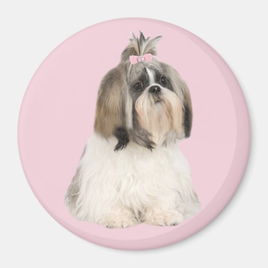 Shih Tzu Magnet (Devant)