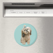 Shih Tzu Magnet (In Situ (Lave-vaisselle))