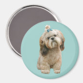 Shih Tzu Magnet (Recto/Verso)