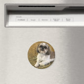 Shih Tzu Magnet 2 Magneet (Insitu (Vaatwasser))
