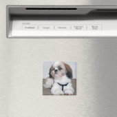 Shih Tzu Magnet Magneet (Insitu (Vaatwasser))