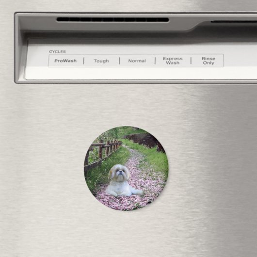 Shih Tzu Magnet Purple Fleurs (In Situ (Lave-vaisselle))