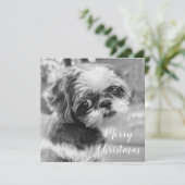 Shih Tzu Merry Briefkaart met kerstmis (Staand voorkant)