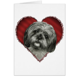 Shih Tzu met hart