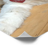 Shih Tzu mix Named Liz Poster (Coin)