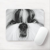 Shih Tzu Muismat (Met muis)