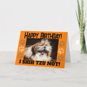 Shih tzu niet lachend leuk Gefeliciteerd met je ve Kaart