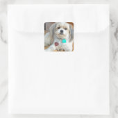 Shih Tzu noemde Liz Sticker (Tas)