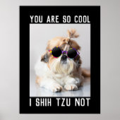 Shih Tzu Not fun cute cool dog Custom text Poster (Voorkant)