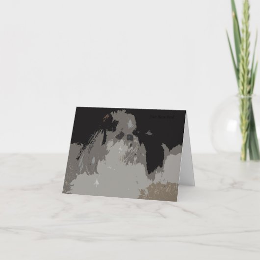 Shih Tzu Notecards Kaart (Voorkant)